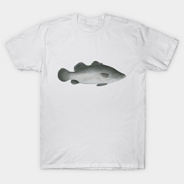 Barramundi T-Shirt by FishFolkArt